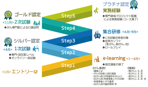 社内認定制度のプロセスとスケジュールの図